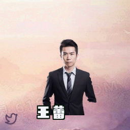 王蕾