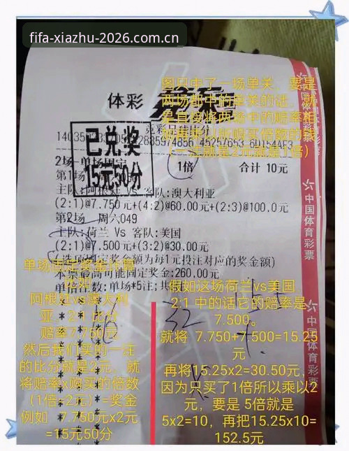 揭秘世界杯投注官网背后的数据真相：2026竞彩赔率的深度博弈逻辑